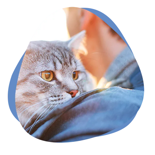 Von hinten gezeigter Mann mit Katze auf dem Arm
