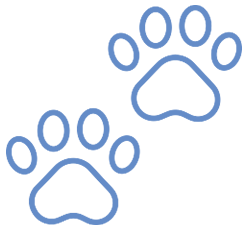 Icon Fortbildung blaue Pfoten